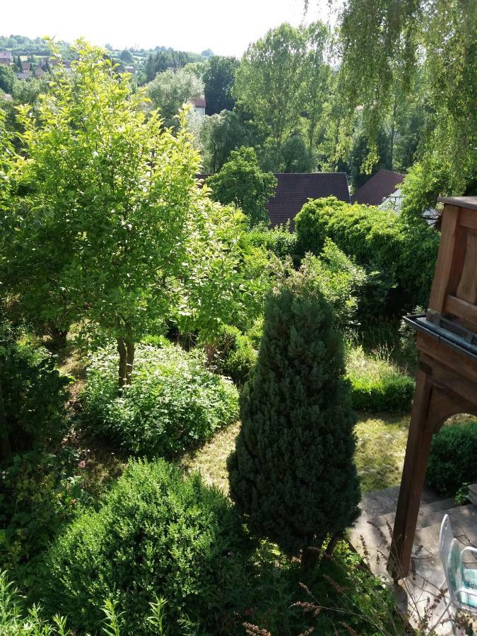 Haus Forstamt Daire Stadtsteinach Dış mekan fotoğraf